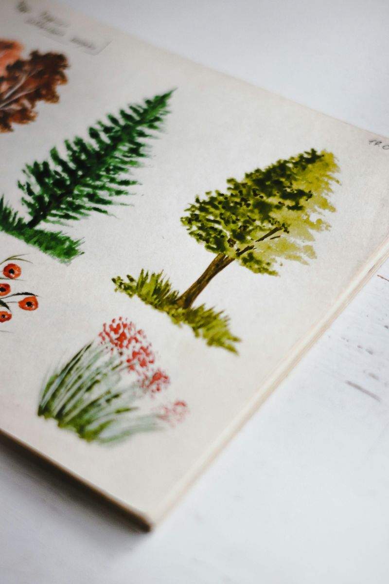 Arte Disegno Studio - Image 8